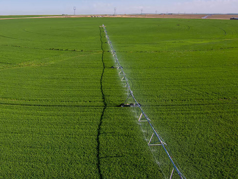 The structural composition of pointer sprinkler irrigation machine