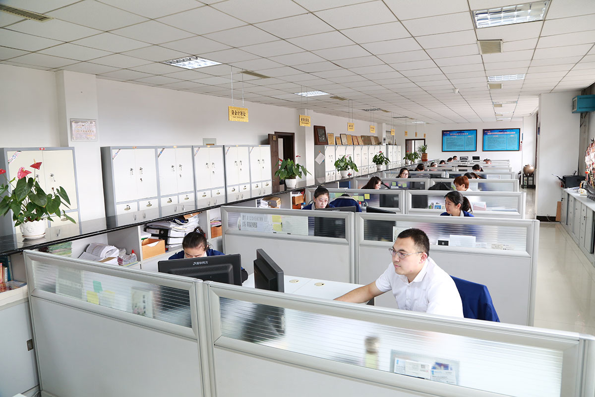 Longi Group