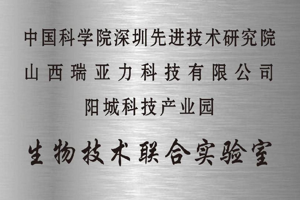 瑞亞力 瑞亞力