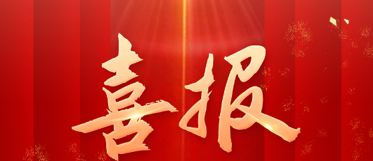 喜报！深圳瑞亚力集团有限公司获得“专精特新”认证