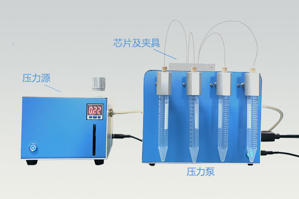 瑞亞力 瑞亞力