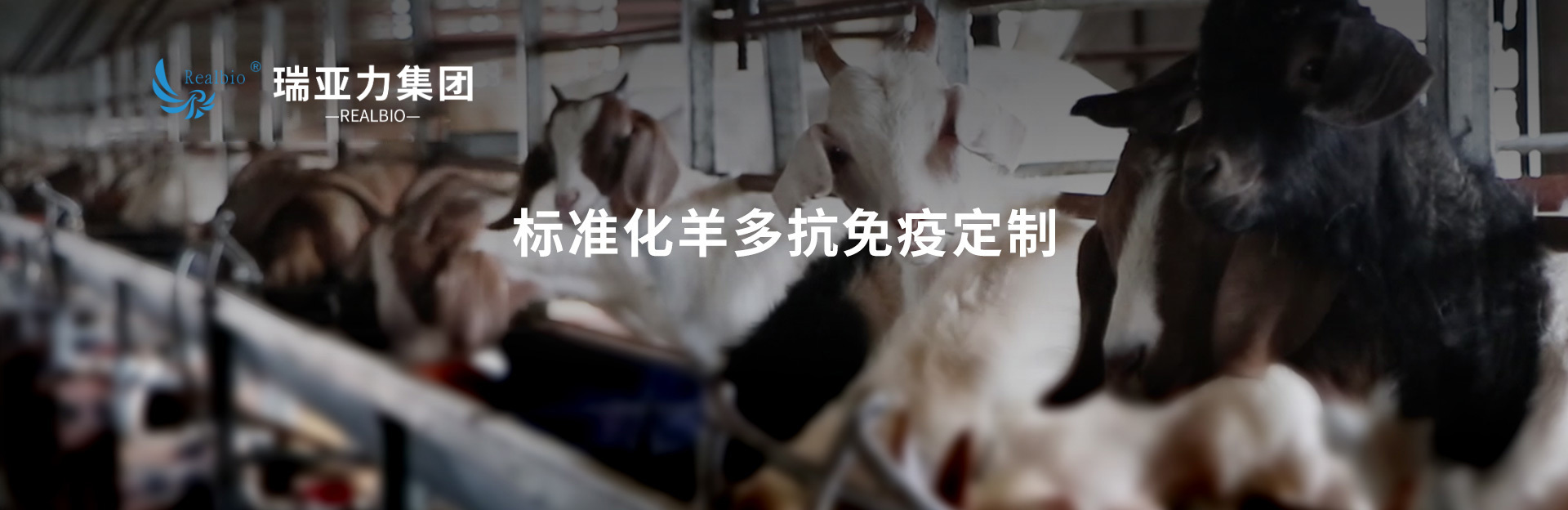 瑞亚力