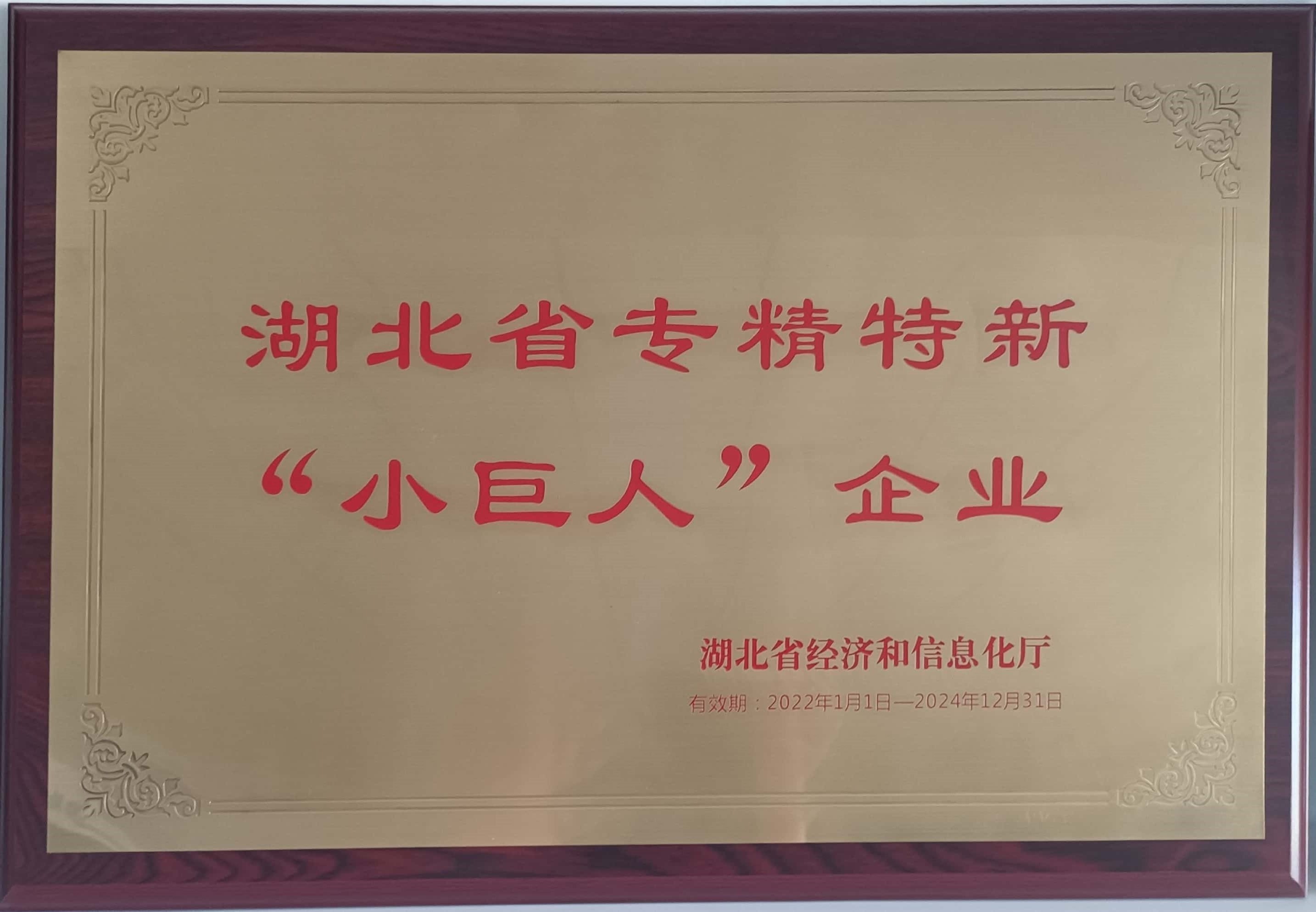 Provincial specialized, refined, distinctive and innovative small and medium-sized enterprises