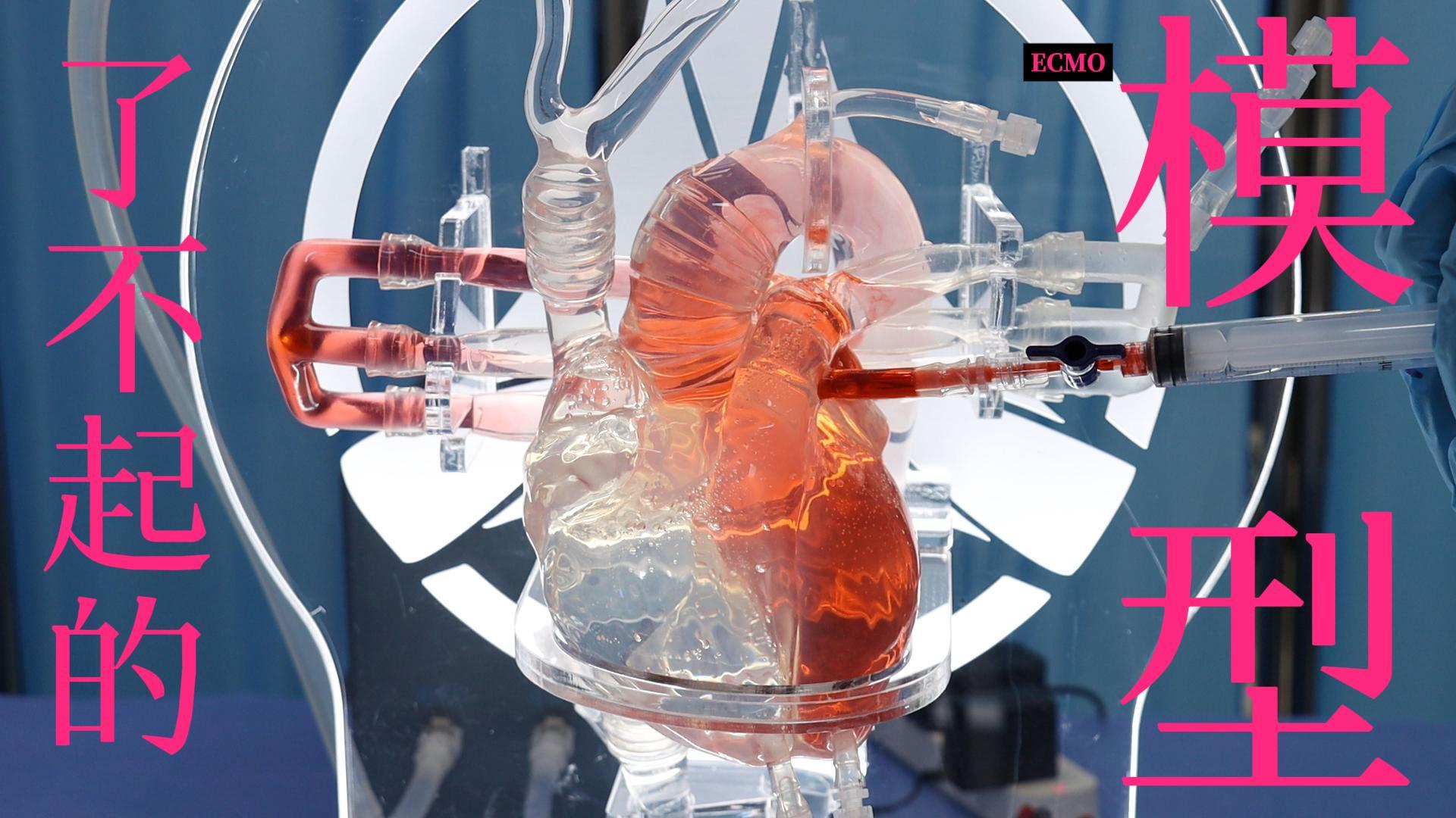 立式ECMO