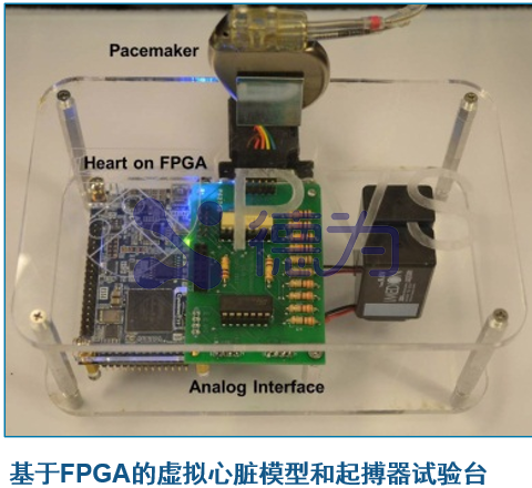 基于实时闭环电生理心脏模型的起搏器测试范式革新：从单向验证到动态交互的系统性突破