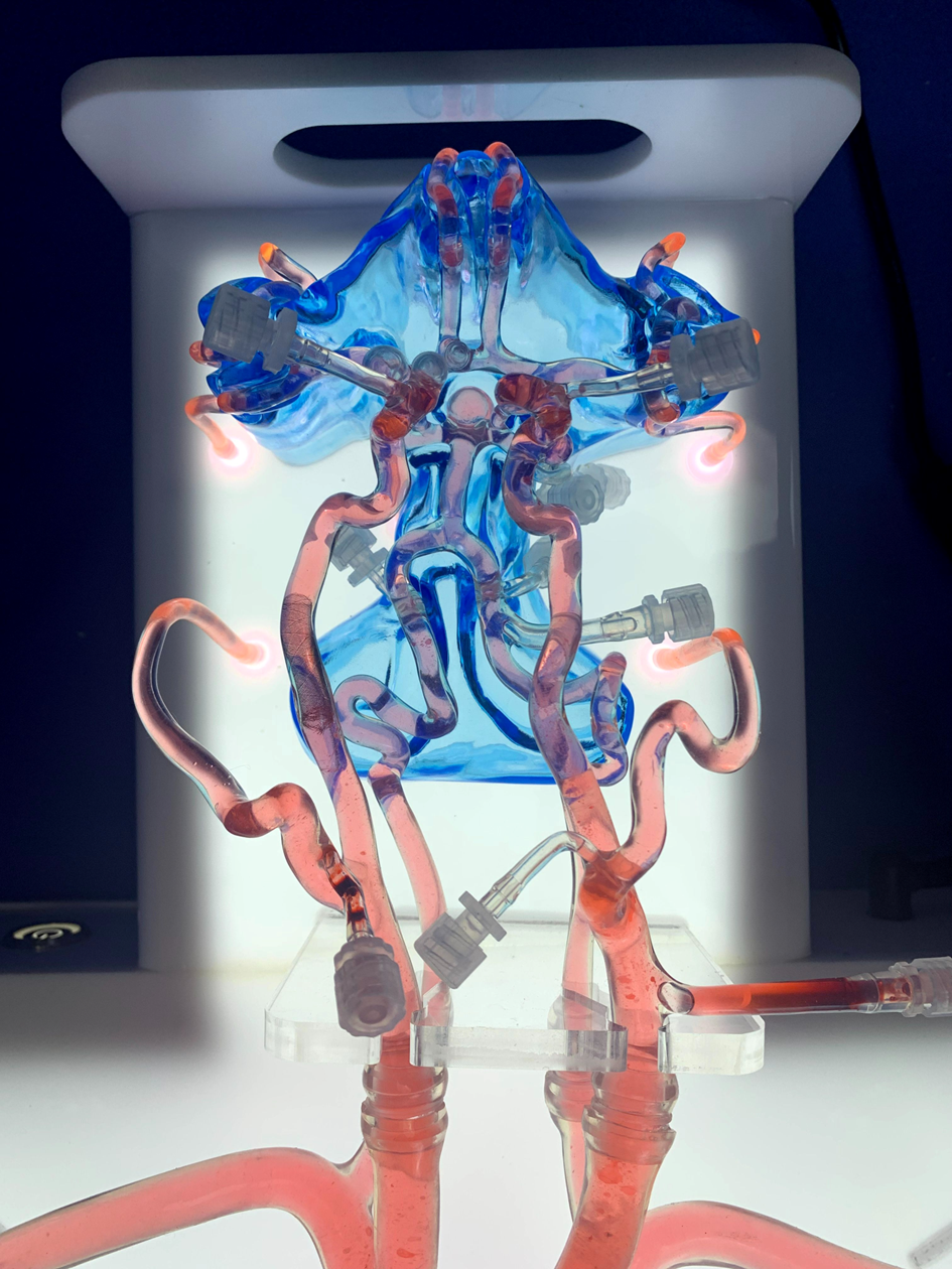 【产品合集】03仿真模型-神经介入血管模型丨模拟血管，精准赋能