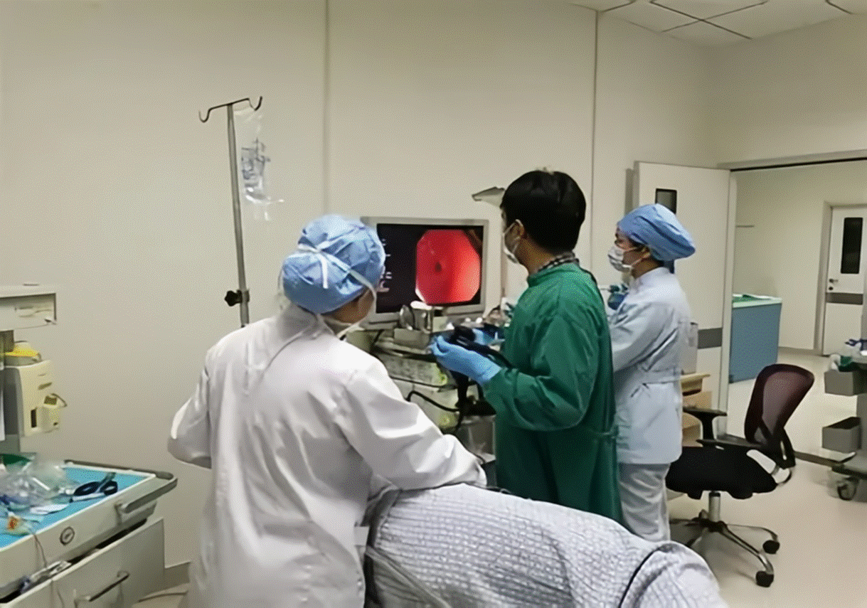 【产品合集】03仿真模型-内镜介入上消化道模型丨精准复刻生理细节，极致还原消化场景