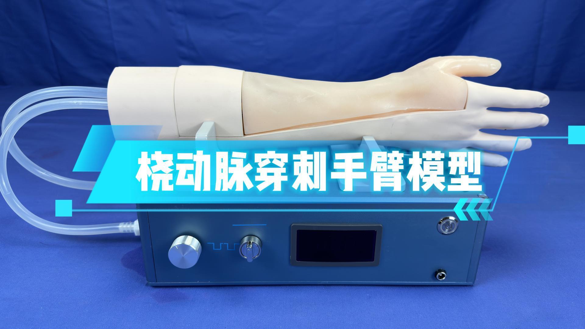 桡动脉穿刺手臂模型