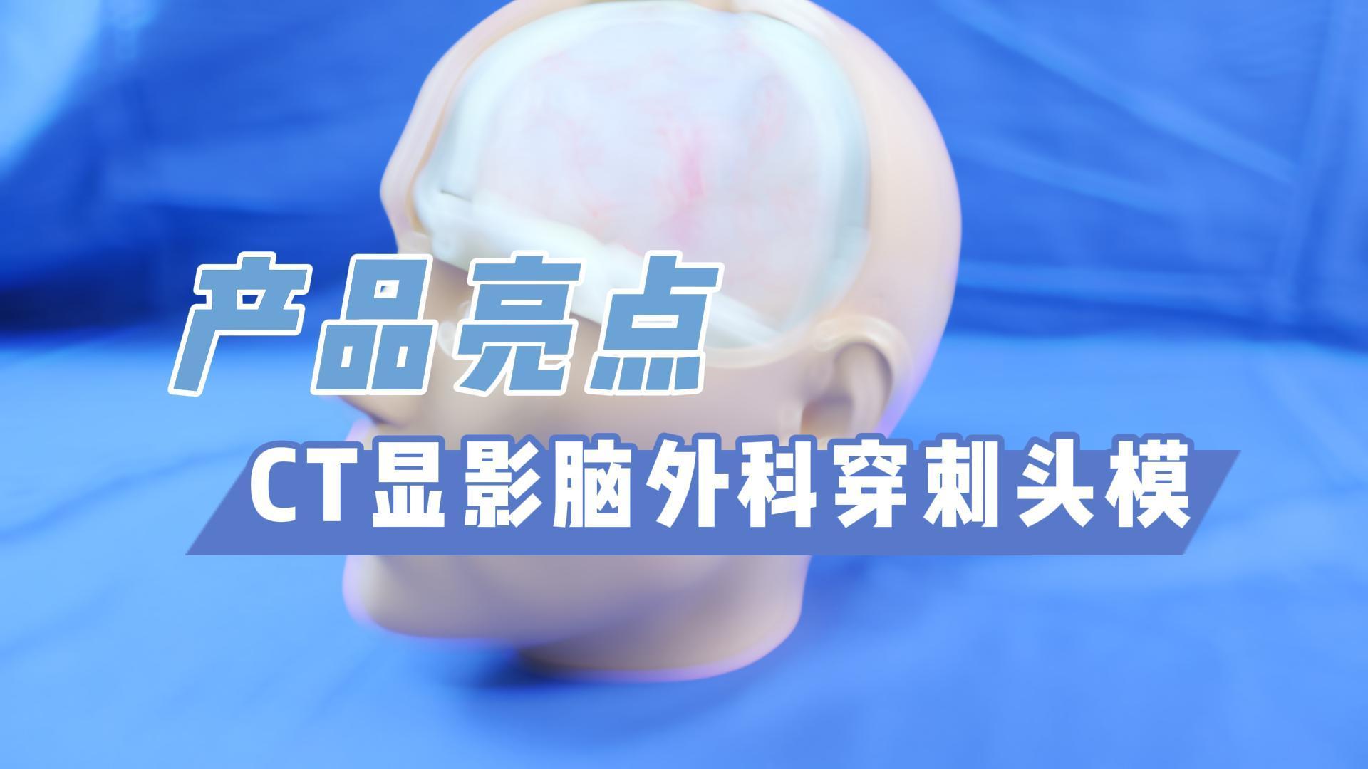 CT显影脑外科穿刺头模