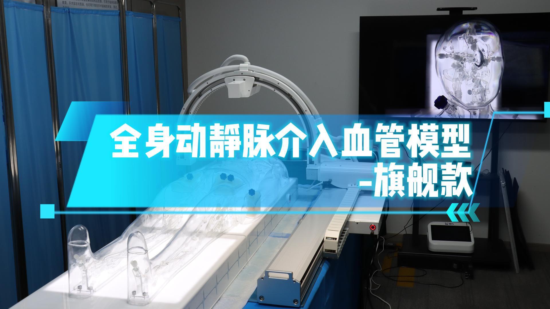 全身动静脉介入血管模型-旗舰款