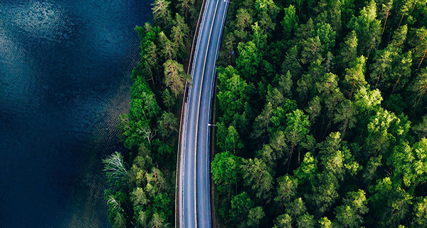 Development Path