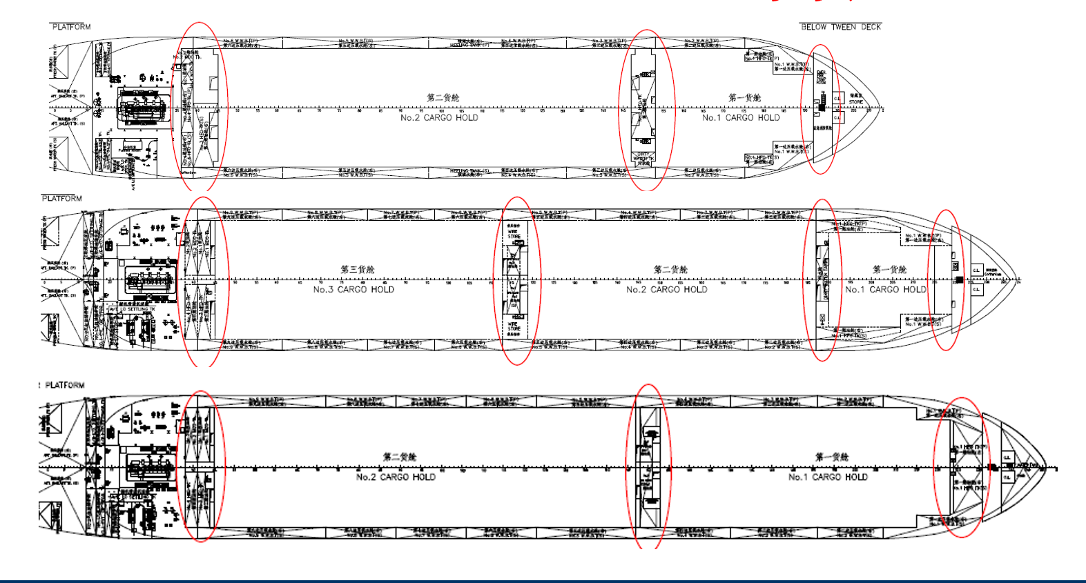 BLUE WHALE -31/36/38 BLUE WHALE -31/36/38
