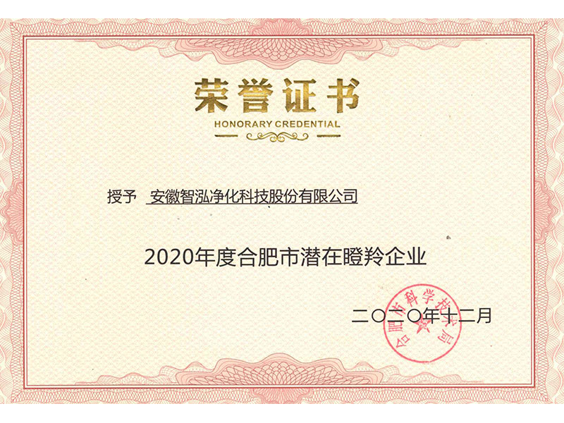 合肥市潜在瞪羚企业