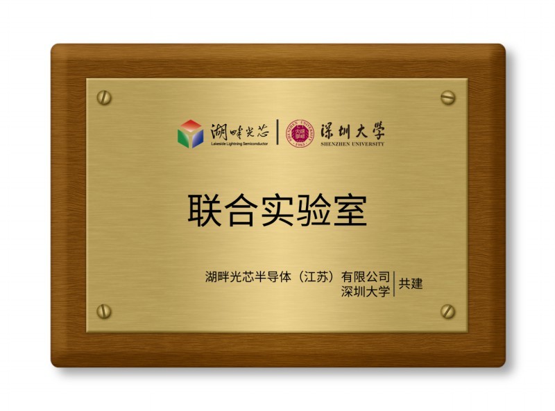 湖畔-深圳大学|联合实验室 湖畔-深圳大学|联合实验室