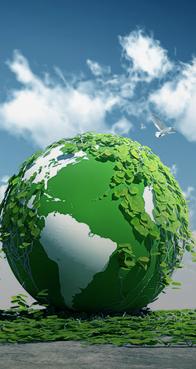 Green  Logistics