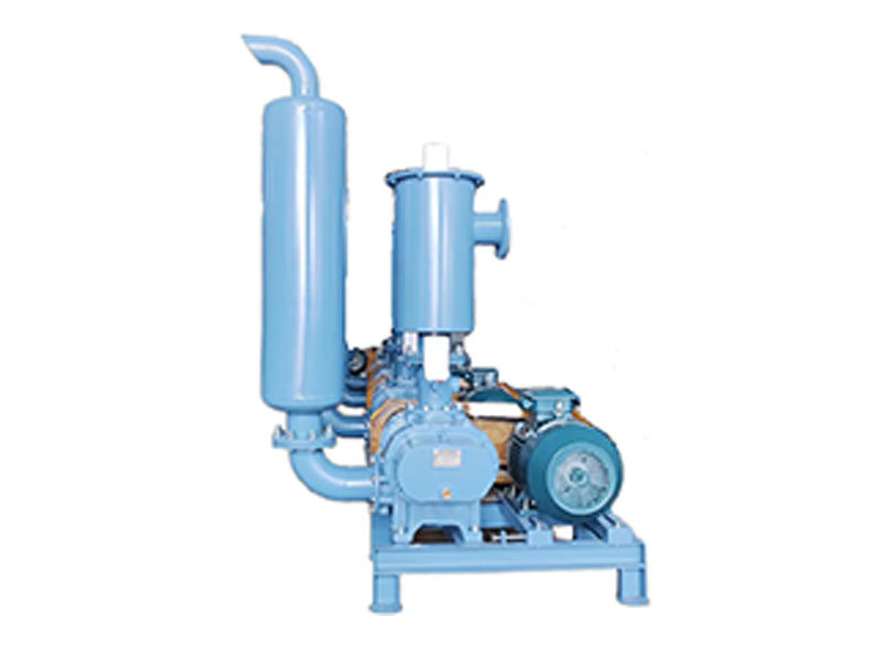 Type FDSR-175V Negative pressure scrics vacuum pump