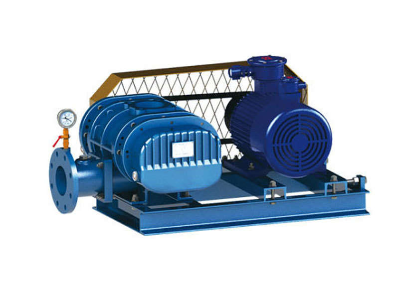 Type FDSR-200DV Negative pressure scrics vacuum pump