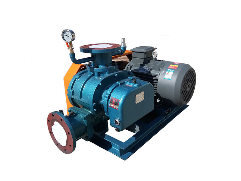 Type FDSR-400H/450H roots blowers