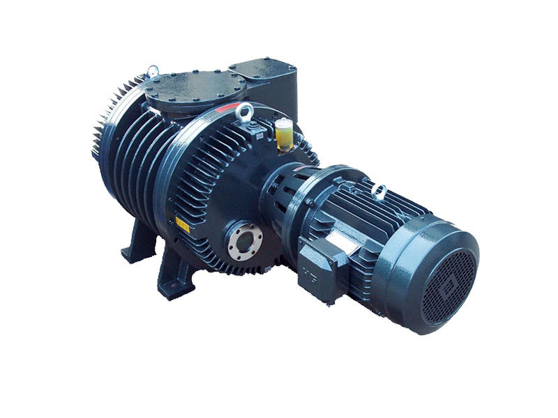 Type FDSR-125V Negative pressure scrics vacuum pump