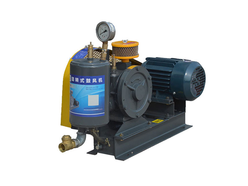 rotary blower