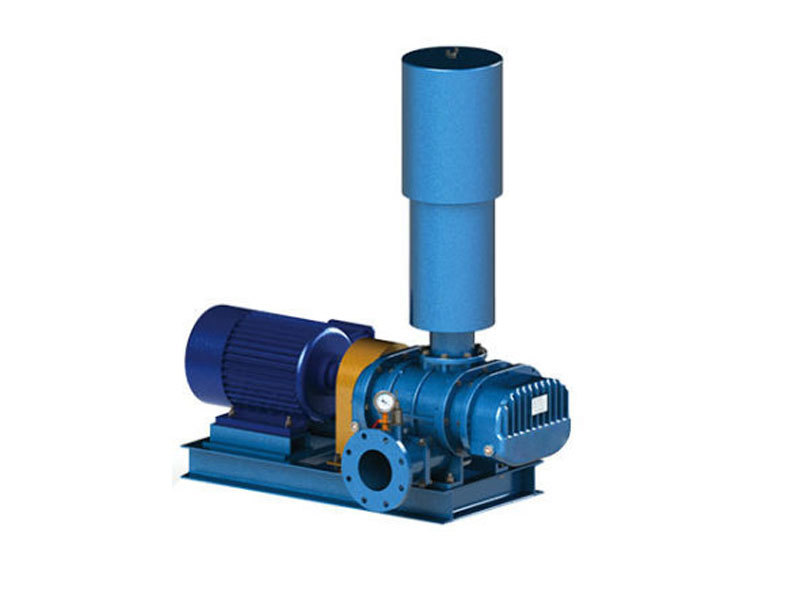 Type FDSR-100V Negative pressure scrics vacuum pump