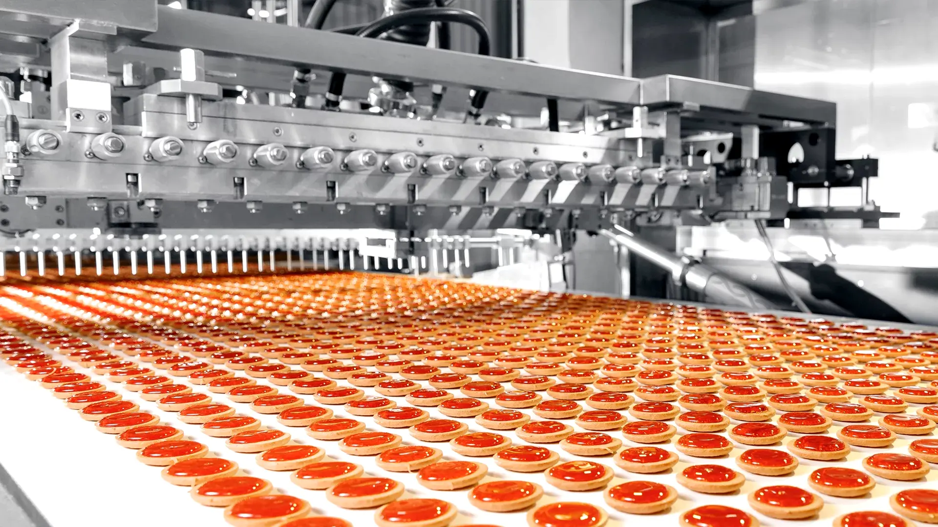 Food Production