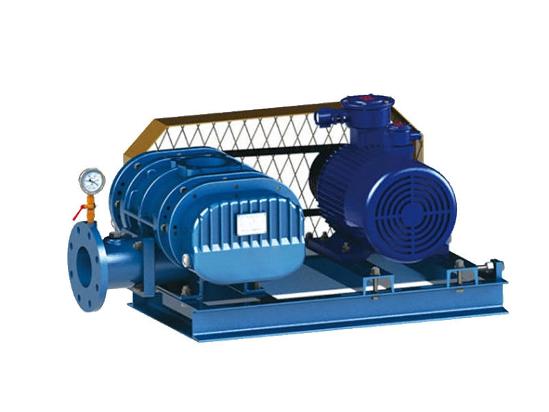 Type FDSR-250H/300H roots blowers