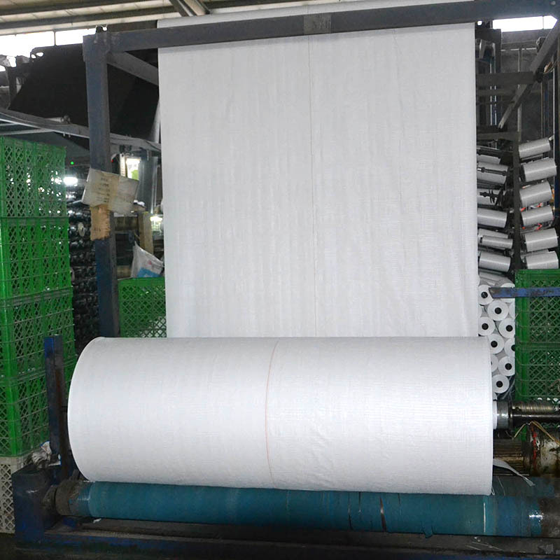 PP woven fabric in rolls