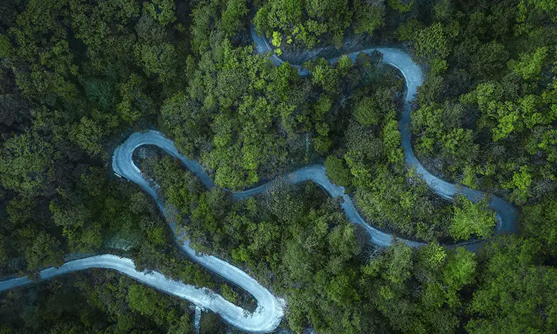Environmental Sustainability Environmental Sustainability