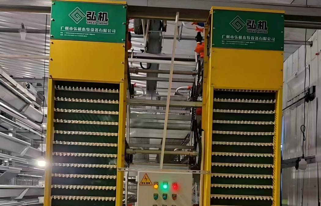 Inside Egg Collection