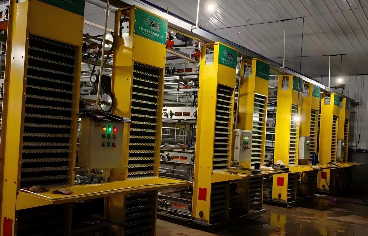 Duck Equipment