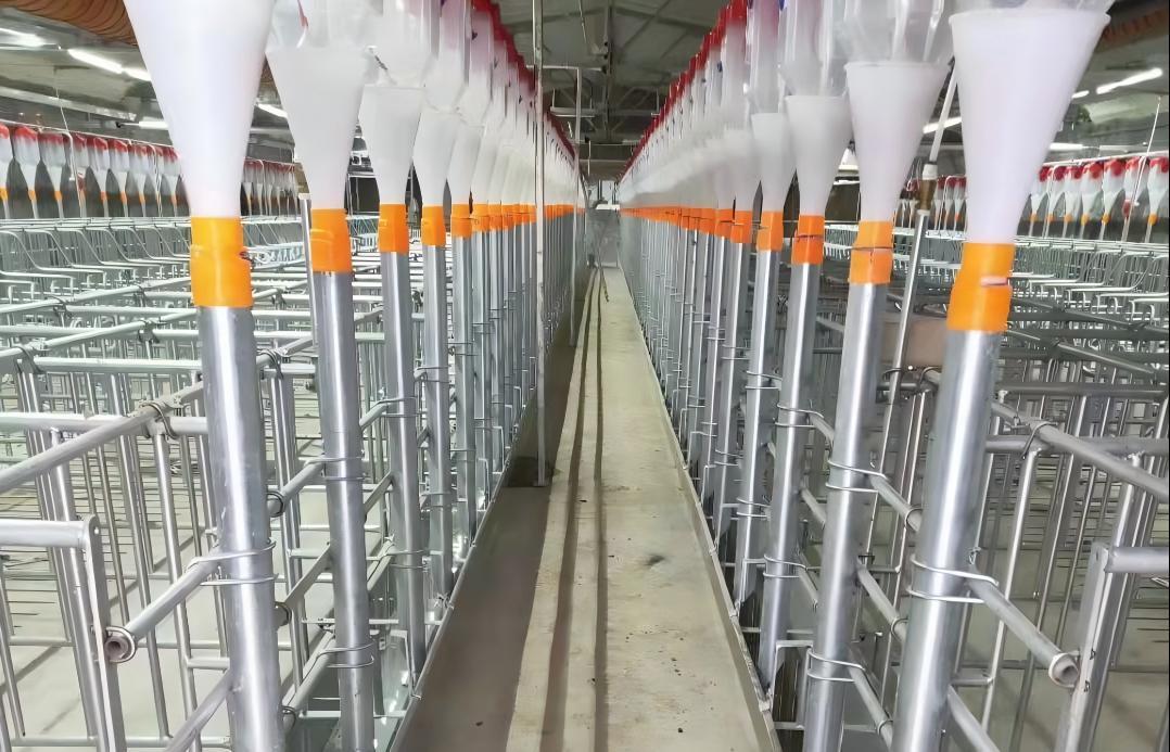 Pig Equipment