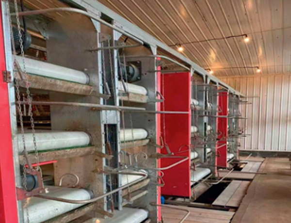 Manure cleaning machine/central manure transport system