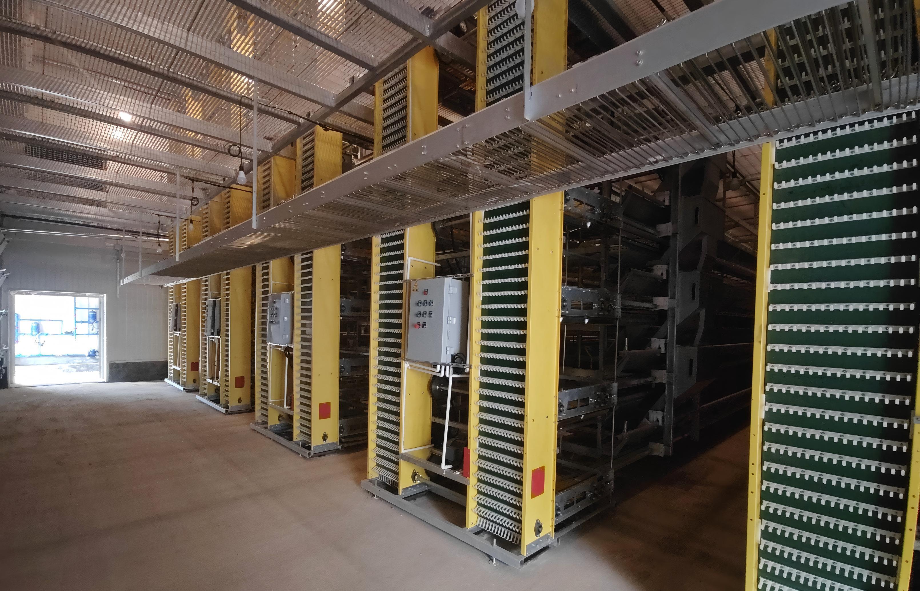 Egg Conveyor
