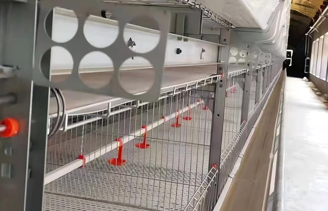 Broiler Cage