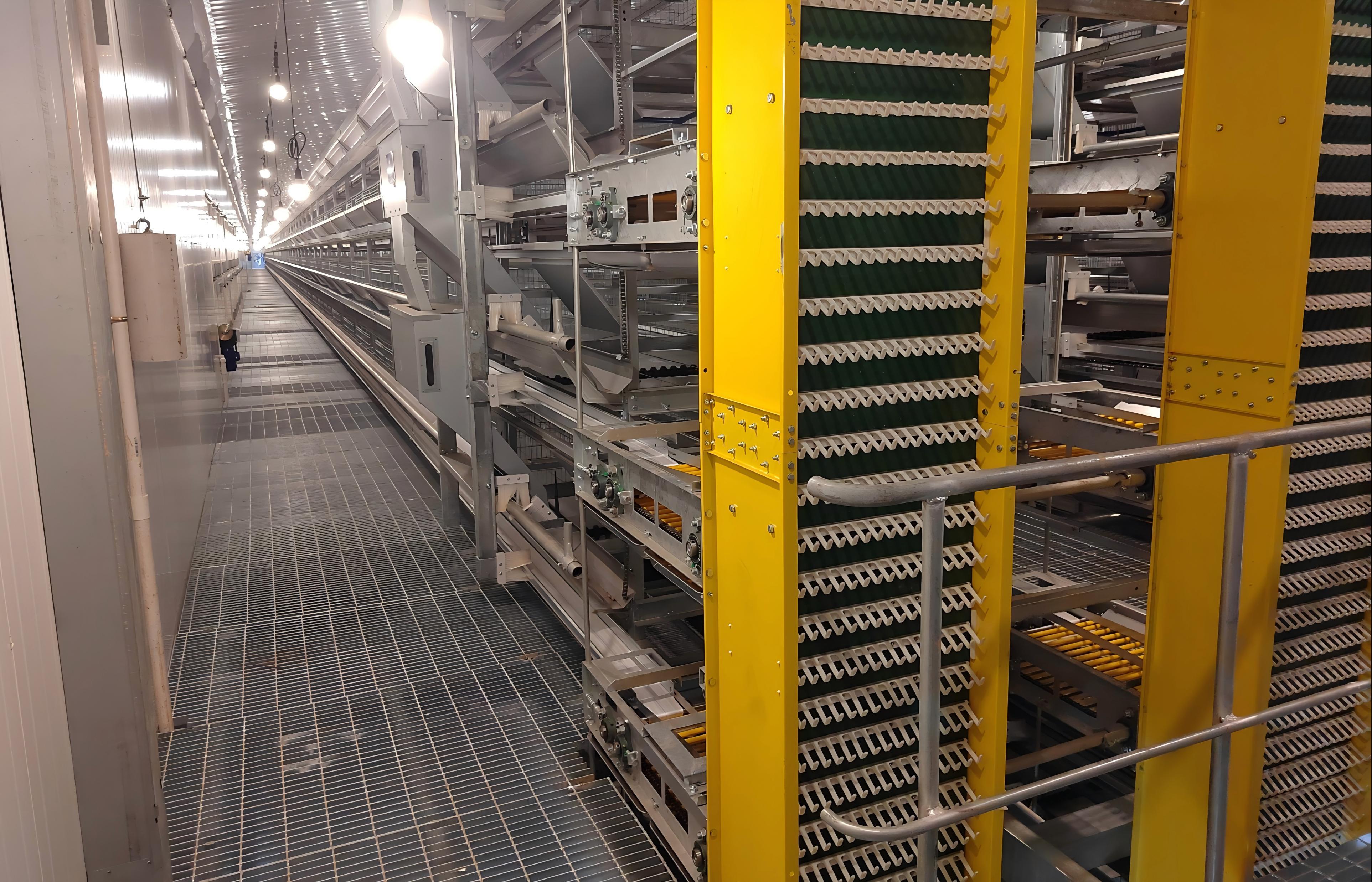 Chicken Equipment
