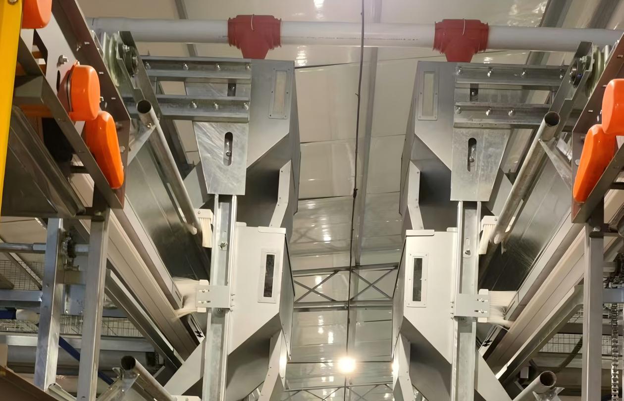 Feeding Cart And Conveyor