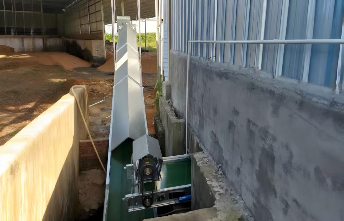 Outside Manure Conveyor