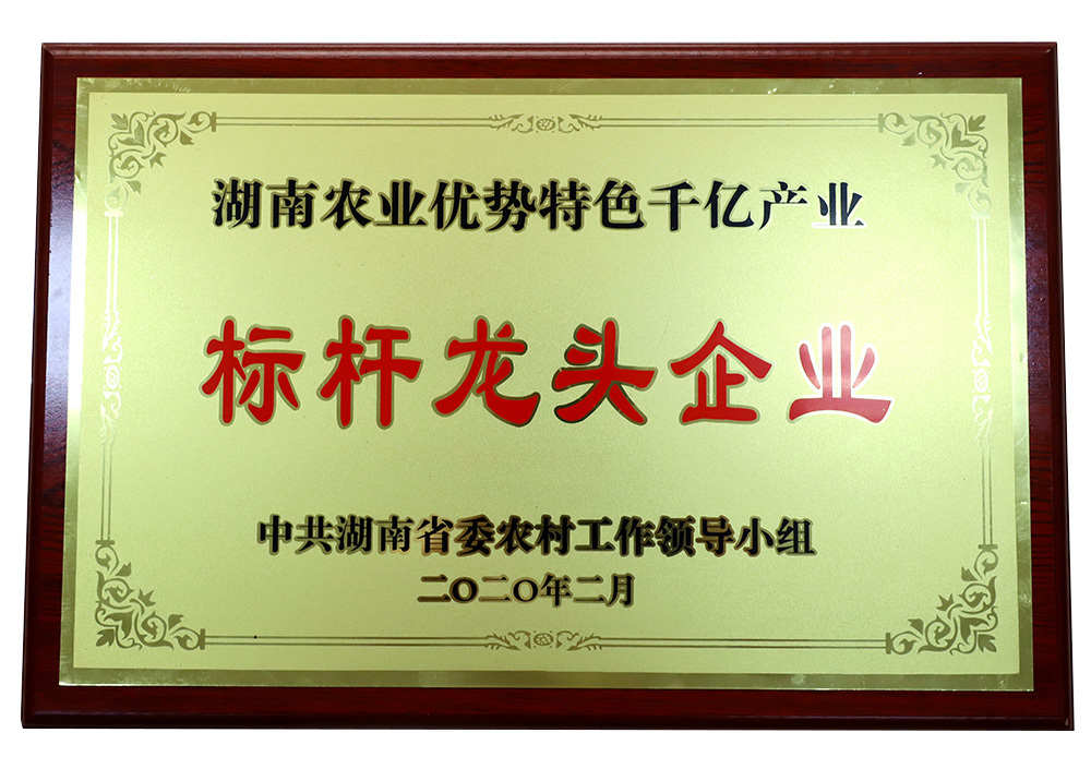 湖南农业优势特色千亿产业：标杆龙头企业