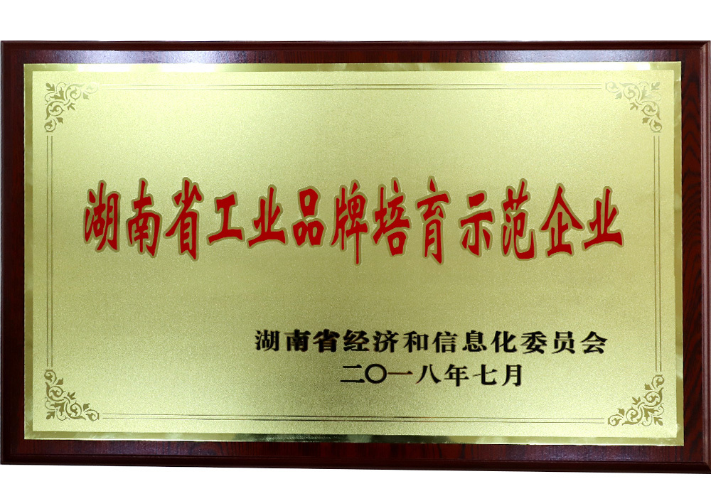 湖南省工业品牌培育示范企业