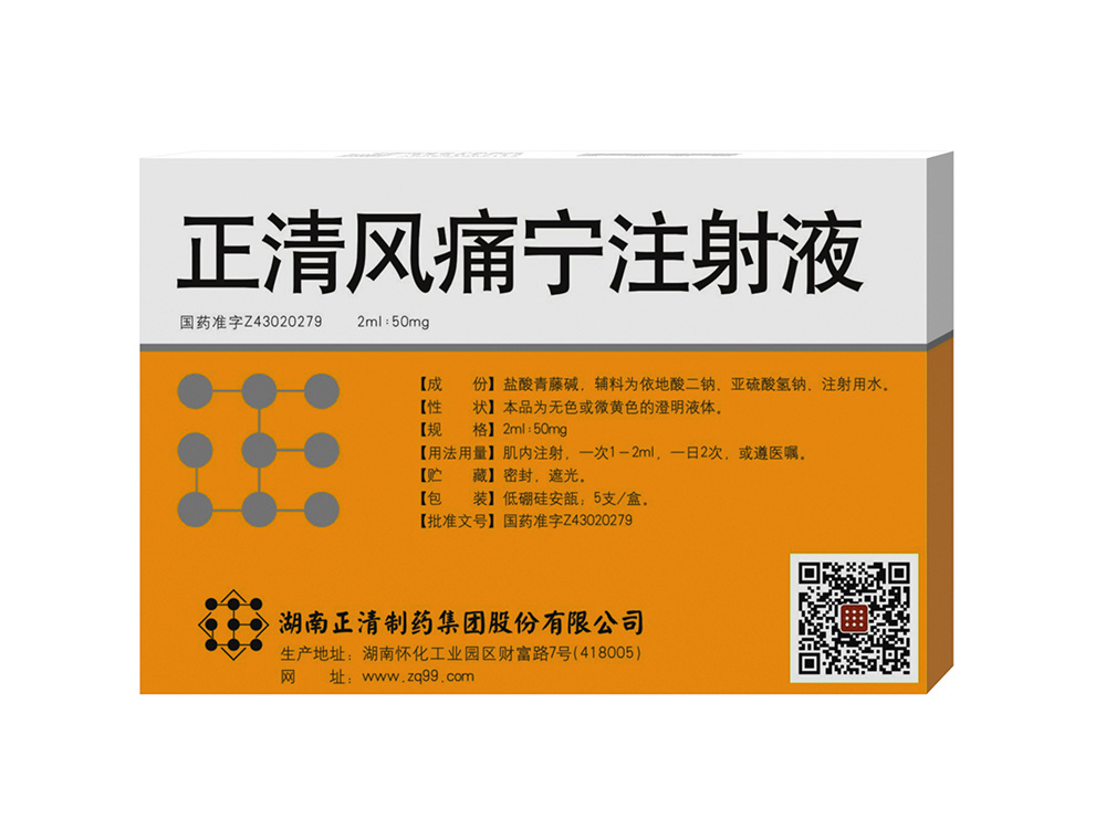 正清风痛宁注射液
