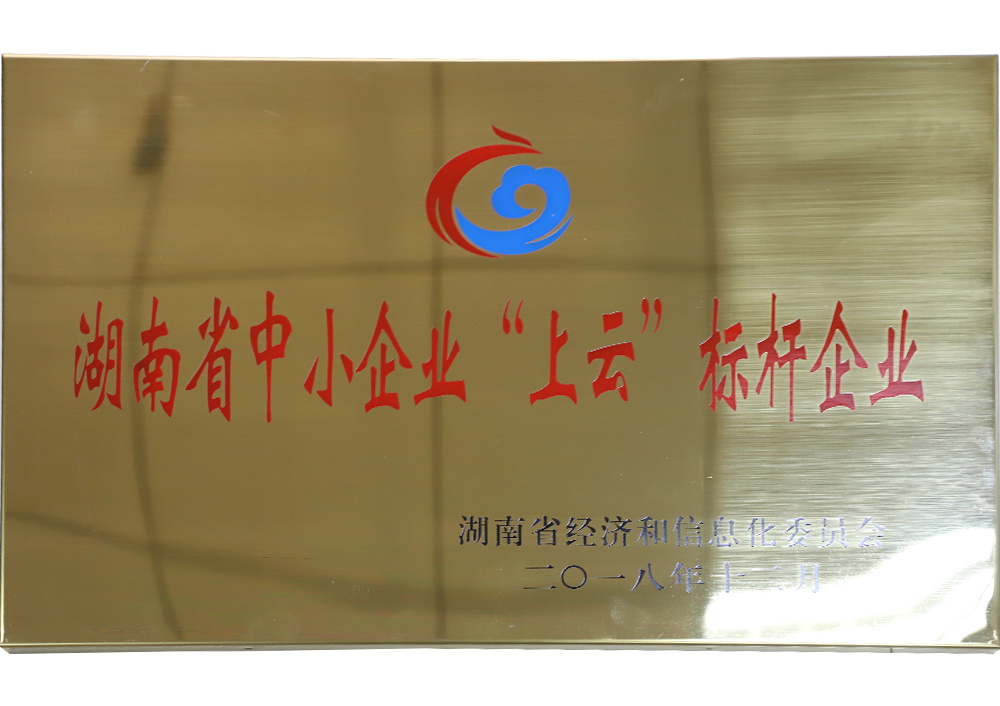 湖南省中小企业“上云”标杆企业（省经信委）