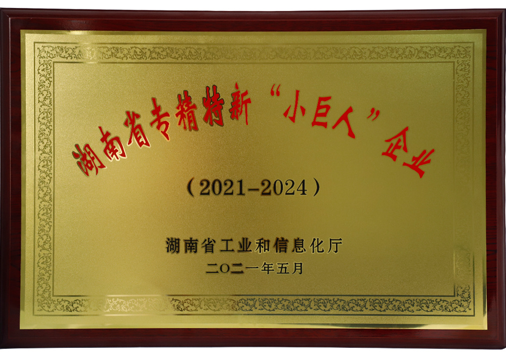 湖南省专精特新“小巨人”企业 湖南省专精特新“小巨人”企业
