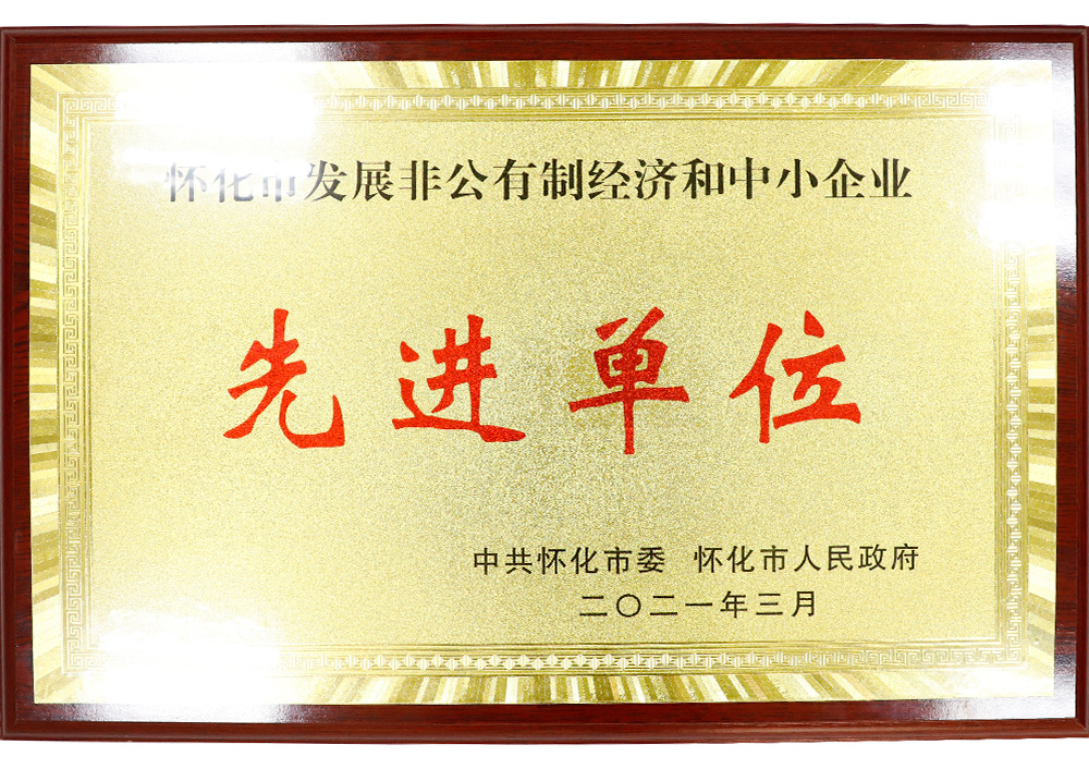 怀化市发展非公有制经济和中小企业先进单位 怀化市发展非公有制经济和中小企业先进单位