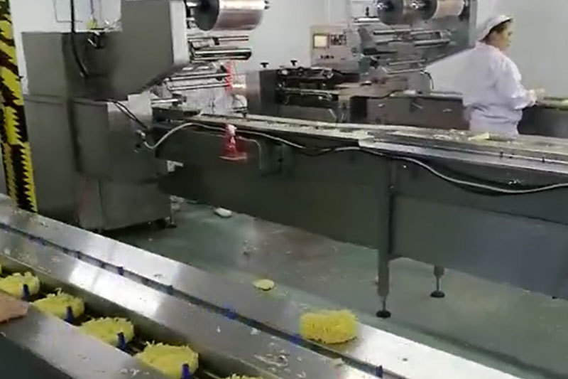 Food Production Plant
