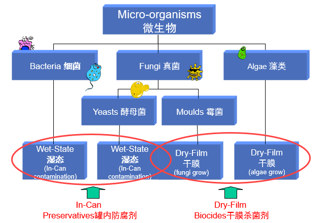图示描述已自动生成