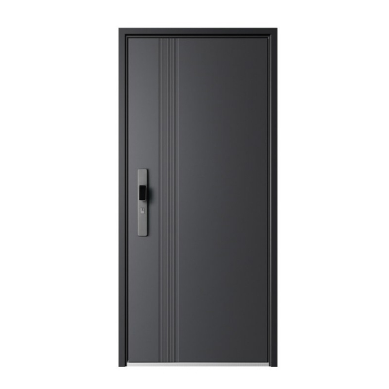 Entrance door-New Trend entrance door series