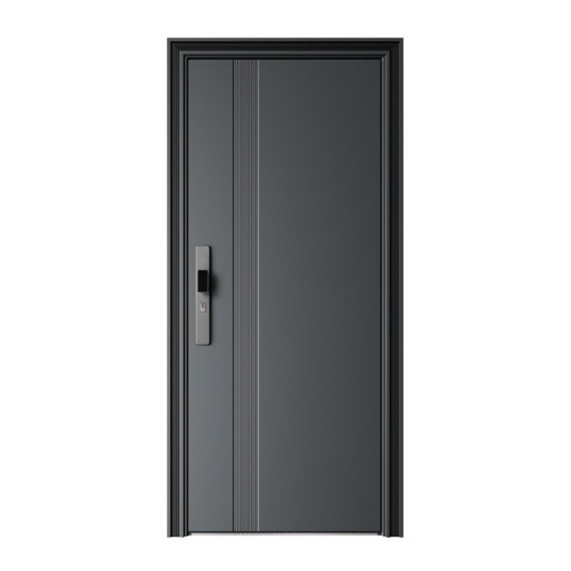 Entrance door-New Trend entrance door series