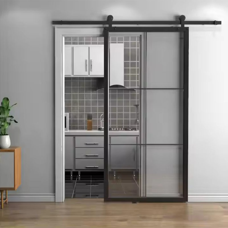 Newly Narrow Frame Metal Steel Bathroom Kitchen Frosted Glass Sliding Door for Sale