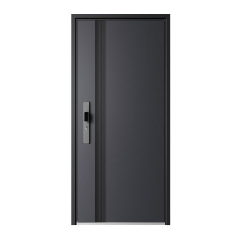 Entrance door-New Trend entrance door series